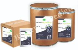 Blueberry Extract Powder, Packaging Type: Drum