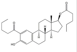 99% Estradiol Valerate 2- Valeryl Impurity, Lab Grade