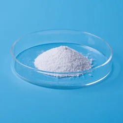 Sodium Benzoate Powder, 25kg