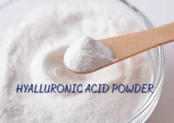 Hyalluronic Acid Powder, Purity: 100%, Packaging Size: 1 kg