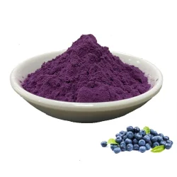 Blueberry Fruit Extract