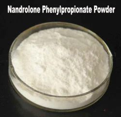 Nandrolone Phenylpropionate Powder