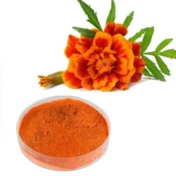 Zeaxanthin 10% Powder, Packaging Type: Box, Packaging Size: 10 kg