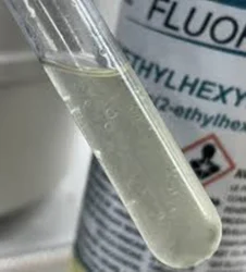Bis 2 Ethylhexyl Phthalate