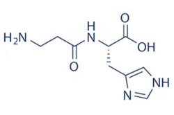 L - Carnosine