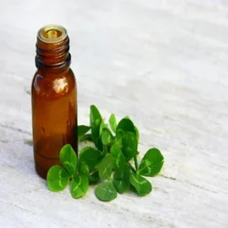 Racemic Menthone 90:10