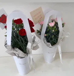 White Printed Paper Carry Bag. Gift Box, Capacity: 1kg