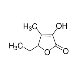 5 Ethyl 3 Hydroxy 4 Methyl 2(5H) Furanone