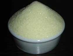 Amphotericin B Powder