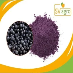 SV Agrofood Blue Berry Extract, Packaging Size: 25 Kg, Packaging Type: PP Polybags,Hdpe Drums