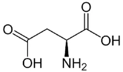 L-Aspartic Acid