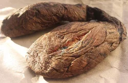 Castoreum Extracts Resinoid