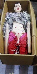 PVC Nursing Manikins Male and female