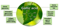 Gallic Acid Monohydrate, Purity: 99%