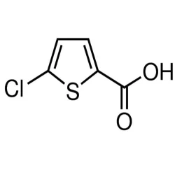 5 Chloro Thiophene 2 Carboxylic Acid Intermediate