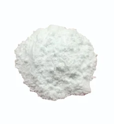 Bismuth Subsalicylate Powder, IP