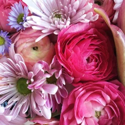 Cis-3- Hexyl Salicylate