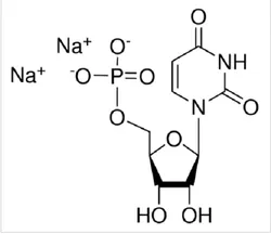 Uridine 5-Monophosphate Disodium Salt Hydrate (CAS Number: 3387-36-8)