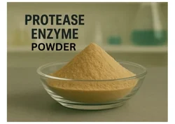 Protease Enzyme Powder, For Industrial, Pack Size: 25kg