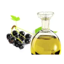 Liquid Black Currant Oil, Packaging Size: 200 L