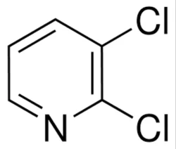 2,3 Dichloro Pyridine, 99%
