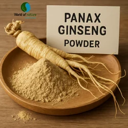Panax Ginseng Berry Extract Ginsenoside 5%-80%