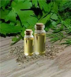 KS Essentials Petroselinum Crispum Parsley Seed Oil for Skin Care, Packaging Size: 1 Litre to 180 Litre