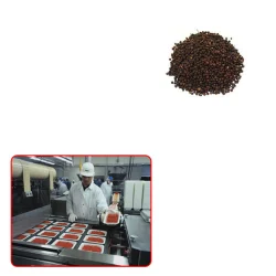Black Pepper Oleoresin for Food Industries