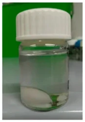 Octanol Solvent Chemicals