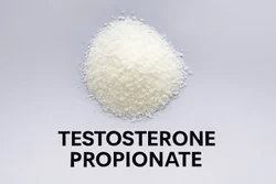 Testosterone Propionate Raw Powder, USP