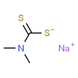 SODIUM DIMETHYL DITHIOCARBAMATE