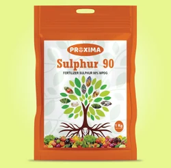 Sulphur 90 Powder, 5 kg, HDPE Bag