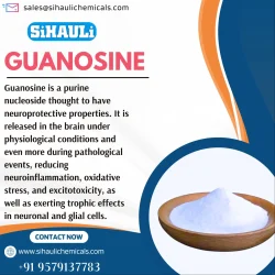 Guanosine Manufacturers, Suppliers, Exporters From Vasai Mumbai India