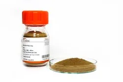 Nanoshel Powdered Bentonite Clay Nano Powder