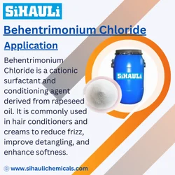 BEHENTRIMONIUM CHLORIDE (BTAC), 50kg Bag