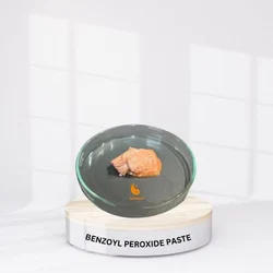 Benzoyl Peroxide Paste (BPO Paste)