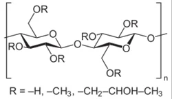 1 gram Hydroxypropylmethylcellulose,CAS NO: 9004-65-3 (HPMC)(Hypromellose), Powder