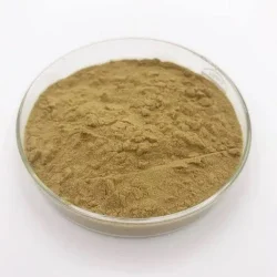 Vital Herbs Euphorbia Hirta Extract, Packaging Type: Packet, Pack Size: 1 kg