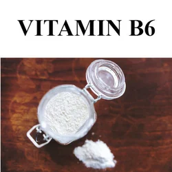 Vitamin B6 Powder, 25Kg Bag