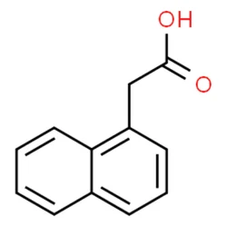 1-NAPHTHYL ACETIC ACID (NAA) - 98.5%