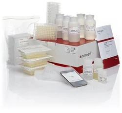PureLink Pro 96 Genomic DNA Purification Kit(4 x 96 Preps)-K182104A