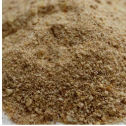 Powder Irvingia Gabonensis Extract, Packaging Type: Packet