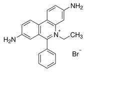 Ethidium Bromide (CAS Number: 1239-45-8)