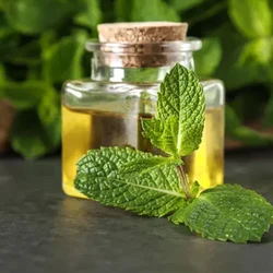 Yellow Dihydro Carveol Oil, Packaging Size: 1 L, Liquid