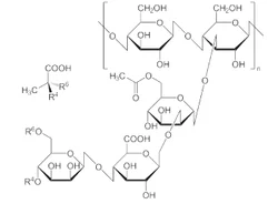 Xanthum Gum (CAS Number: 11138-66-2), 1 kg / 5 kg / 10 kg / 25 kg