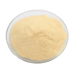 98 % Meloxicam Powder
