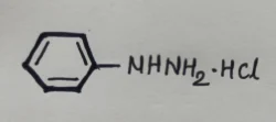 Phenyl hydrazine Hcl CAs No. 59-88-1, Drum, Purity: 99%