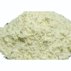 BP Meloxicam Powder