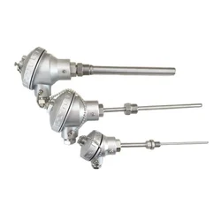 TEMPERATURE SENSOR-PT100-50MM-WITH HEAD, 3 Wire, -40 to 450 deg C