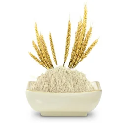 Rice Protein Concentrates, 25 Kg